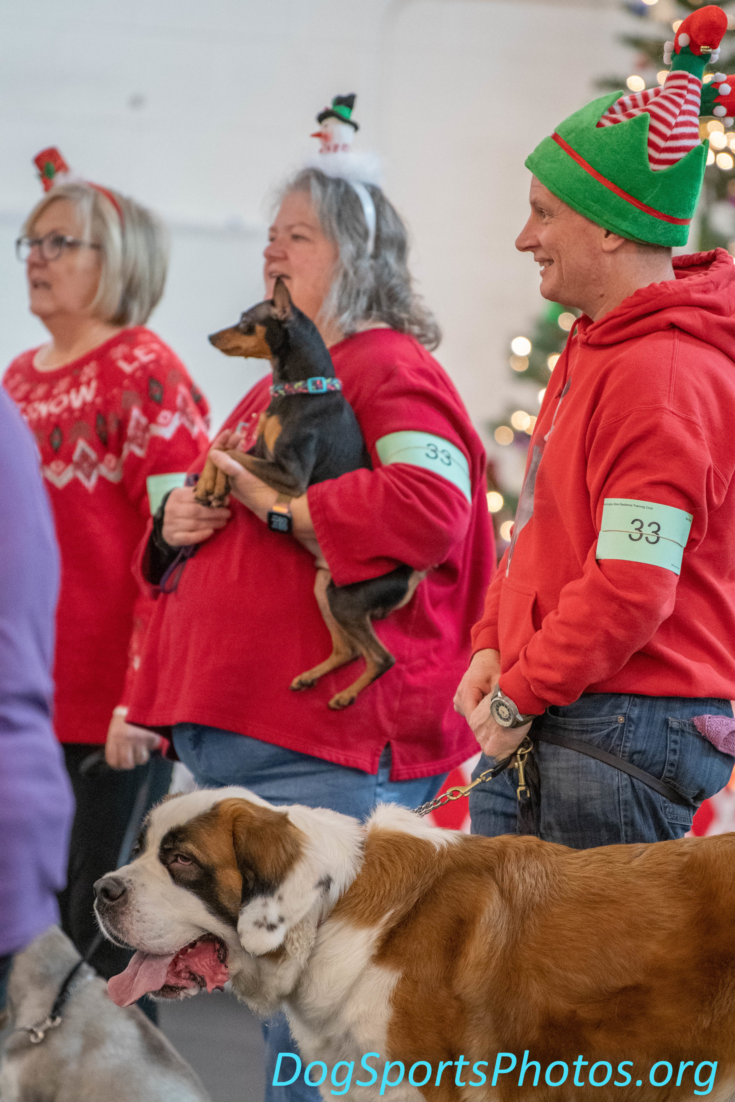 2019 11 30 Washington State Obedience Training Club WSOTC AKC RALLY Trial DogSportsPhotos